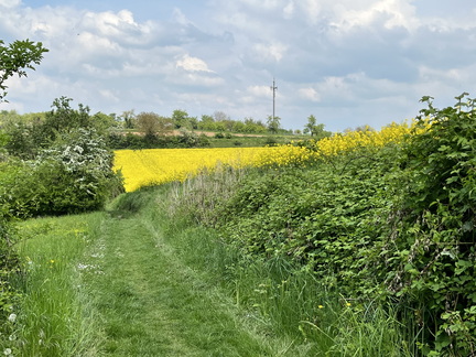 22-05-02 13-41-32 0726